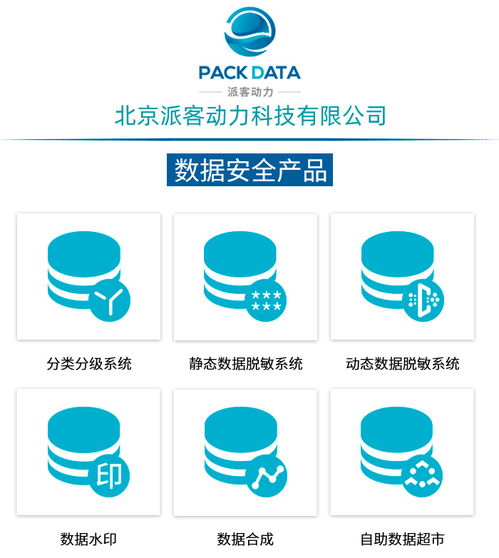 數(shù)據(jù)治理咨詢服務(wù) 北京派客動(dòng)力公司的軟件開發(fā)賦能之道